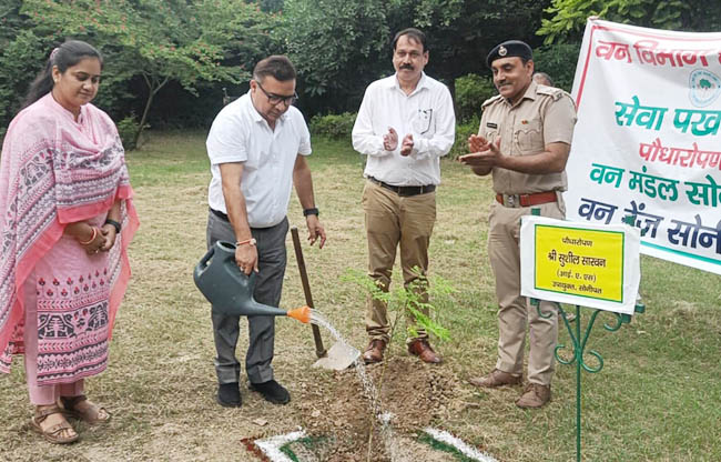 सोनीपत: सेवा पखवाड़ा के तहत उपायुक्त सुशील  सारवान पौधारोपण करते हुए