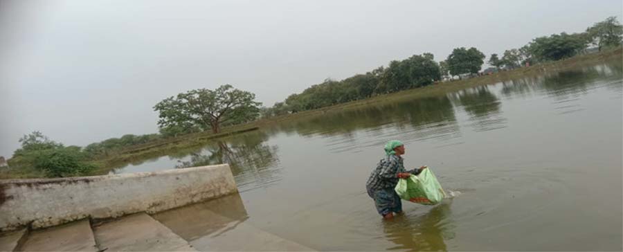 बोरिंदा में निर्मित अमृत सरोवर बोरिंदा में निर्मित अमृत सरोवर