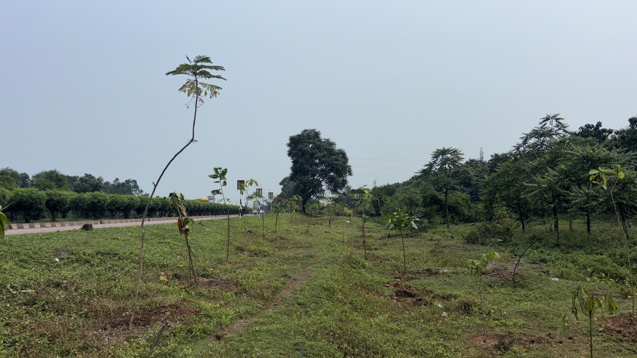 भारतीय राष्ट्रीय राजमार्ग प्राधिकरण एछत्तीसगढ़ में वृक्षारोपण भारतीय राष्ट्रीय राजमार्ग प्राधिकरण एछत्तीसगढ़ में वृक्षारोपण