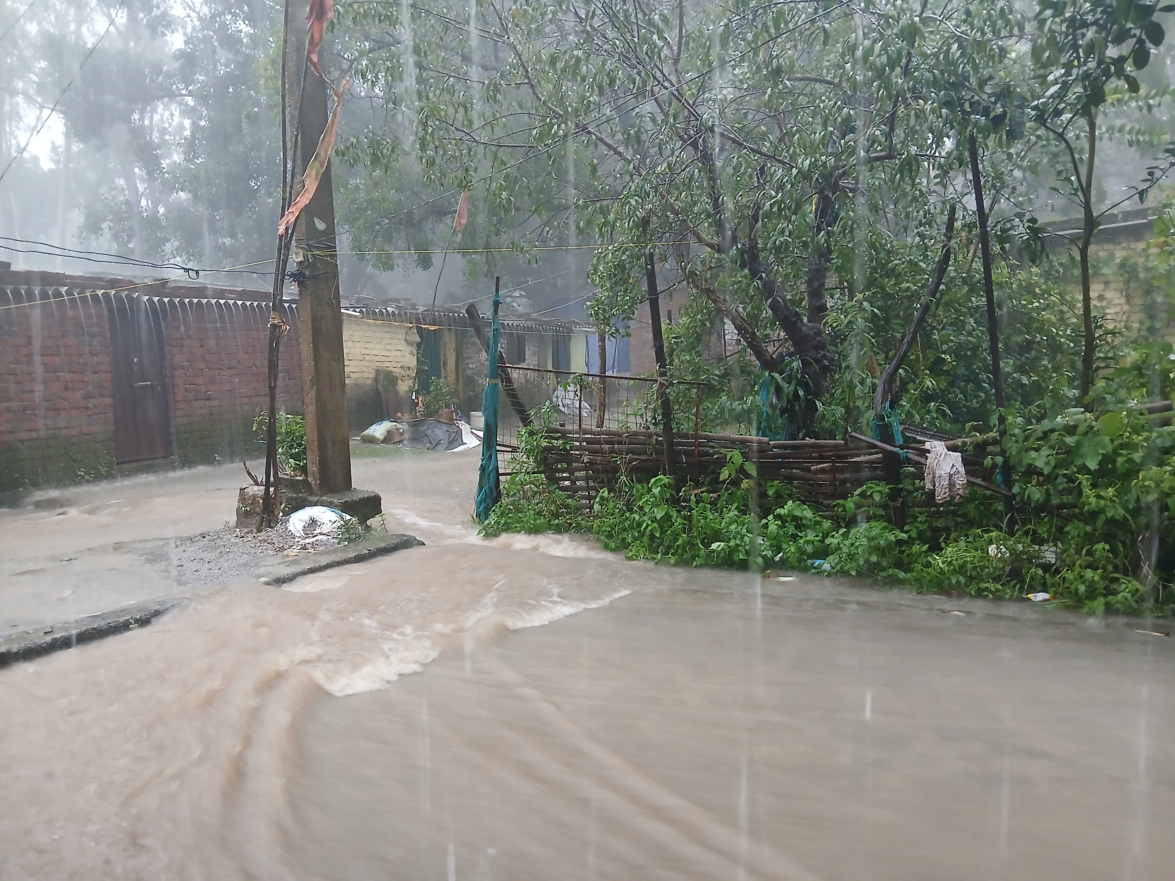 बारिश की फाइल फोटो बारिश की फाइल फोटो