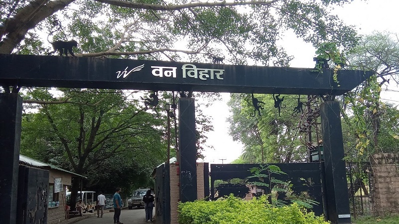 वन विहार राष्ट्रीय उद्यान, भोपाल (फाइल फोटो)