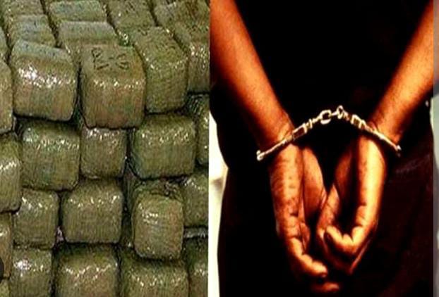 गिरफ्तार गांजा तस्करों का प्रतीकात्मक छाया चित्र