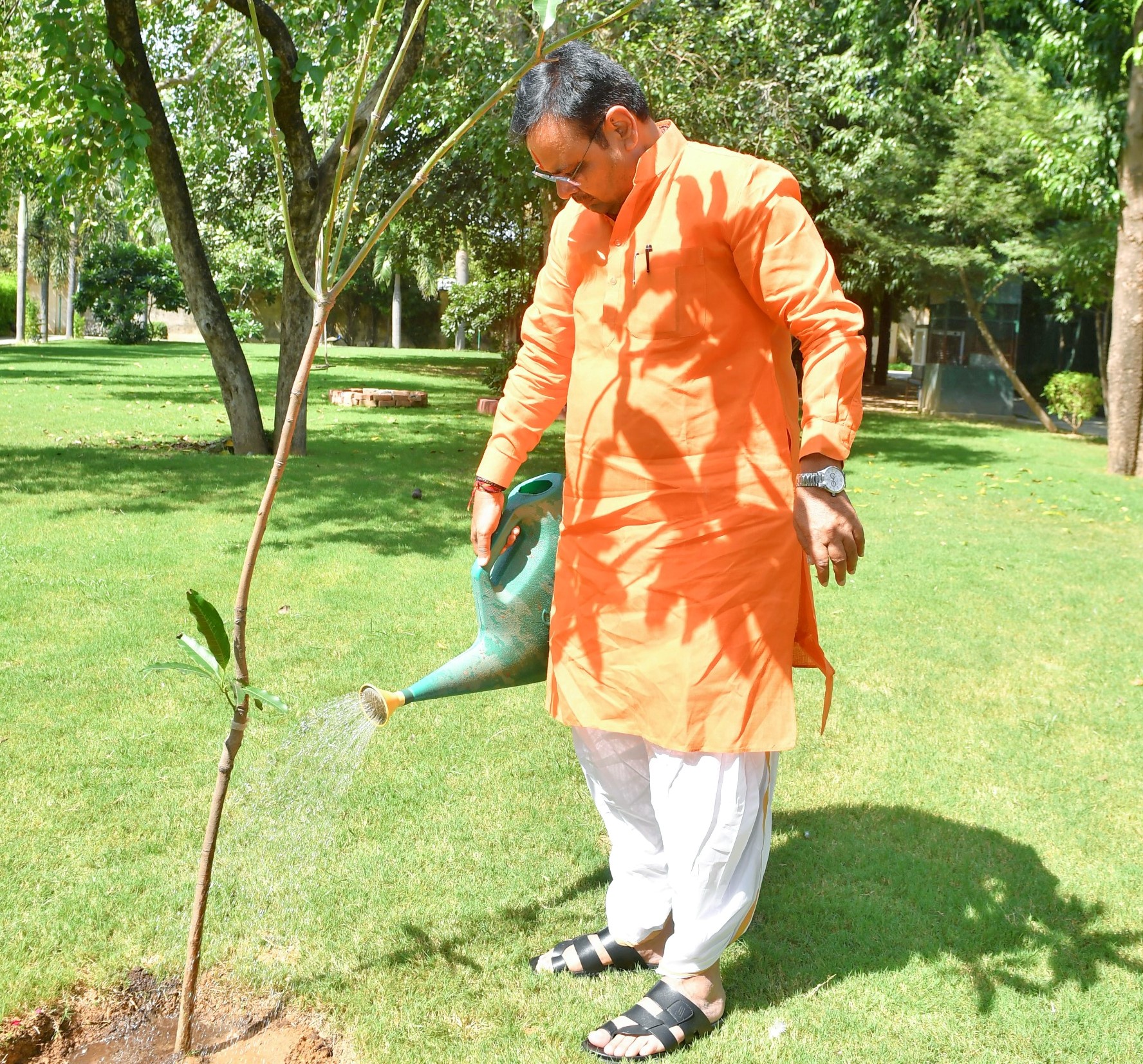 पाैधाराेपण करते हुए सीएम भजनलाल शर्मा।