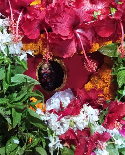 गडबडा शीतला मां की सजी झांकी। गडबडा शीतला मां की सजी झांकी।