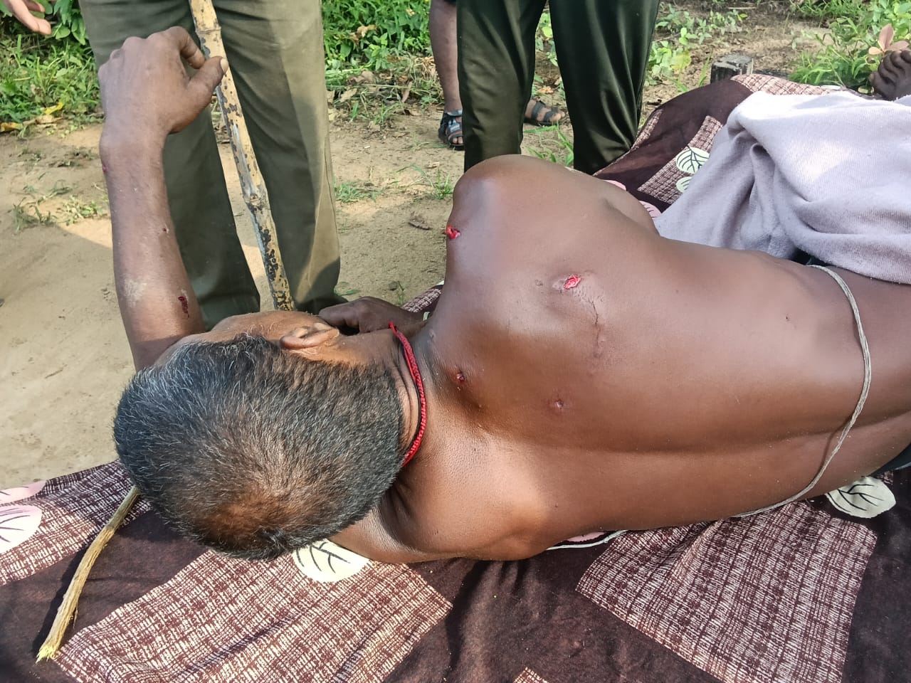 बाघ के हमले से ग्रामीण घायल मवेशी तलाशने गया था खेतोँ तरफ