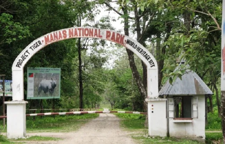 मानस राष्ट्रीय उद्यान
