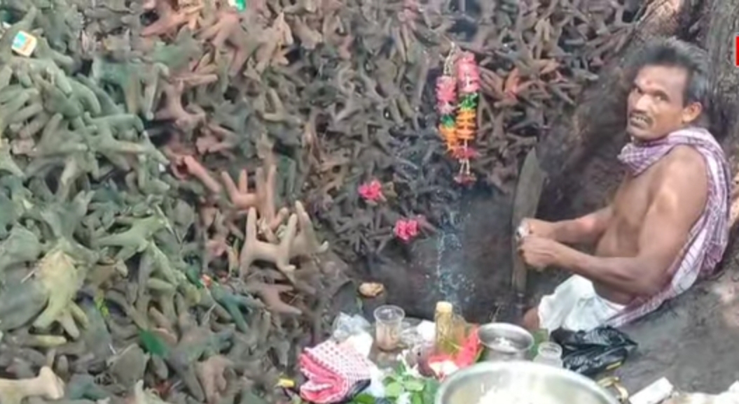 Jhadgram kenduabudi