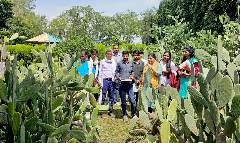 मप्रः ग्रीन-एजी परियोजना के तहत कांटारहित कैक्टस खेती सीखने के लिए अमलाहा पहुँचे किसान