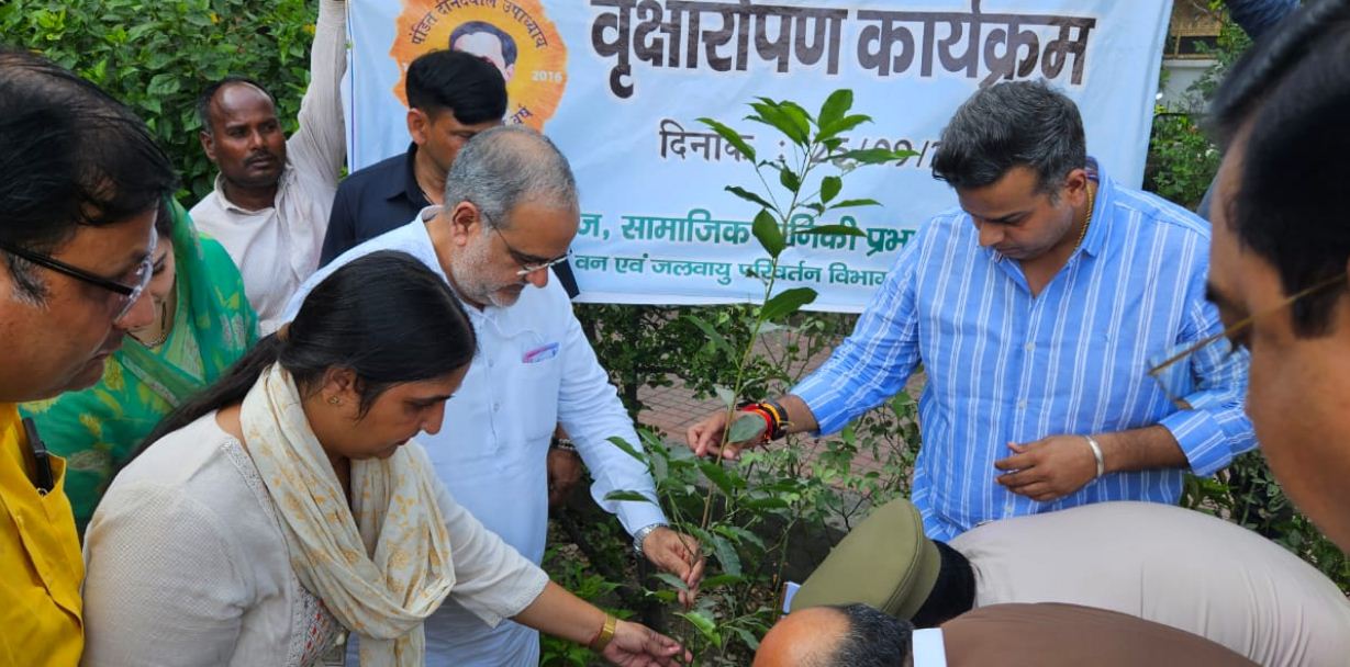वृक्षारोपण करते प्रदेश भाजपा अध्यक्ष भूपेन्द्र चौधरी