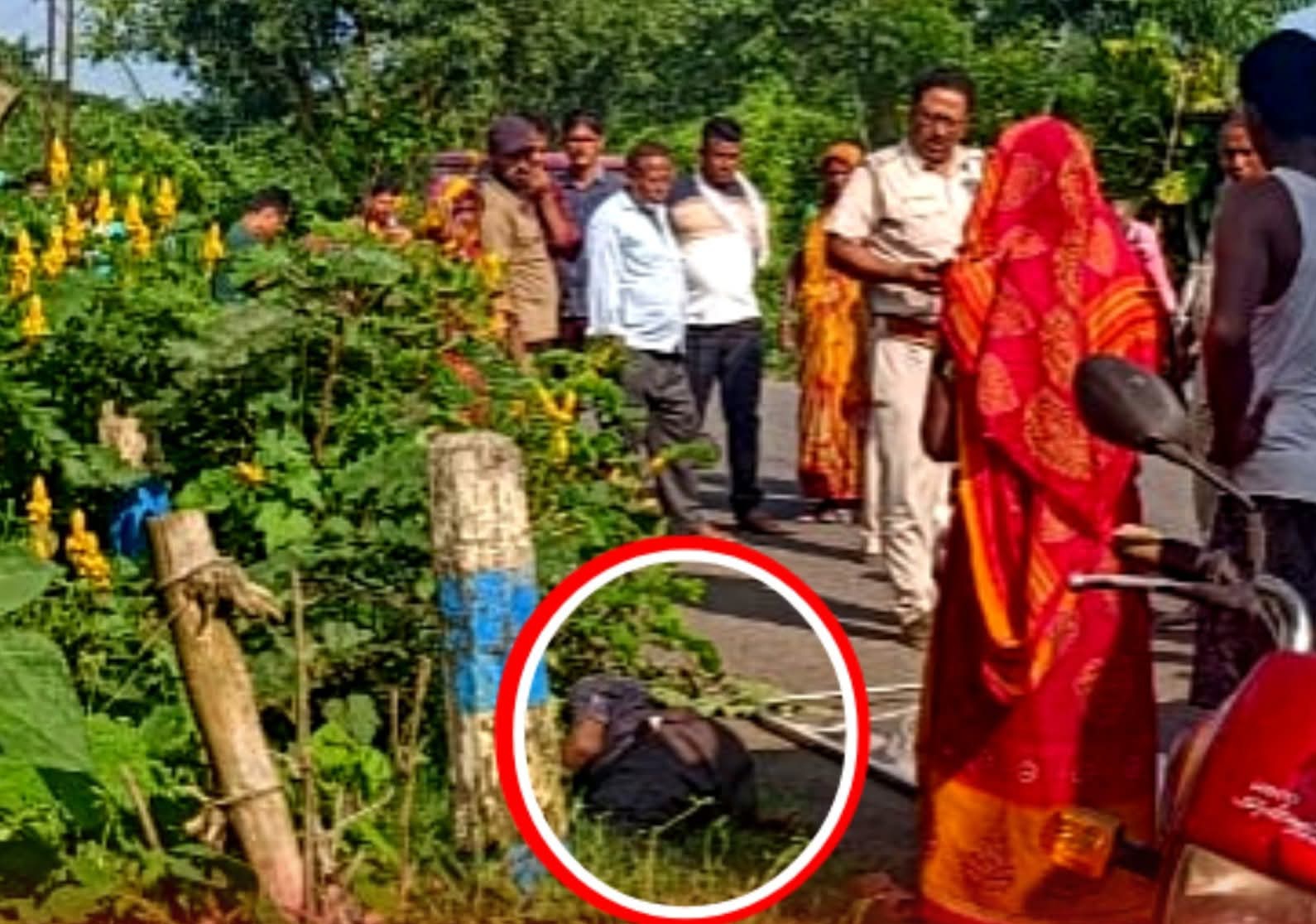 दांतन-निमपुरा