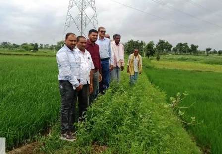 किसान और फसल किसान और फसल