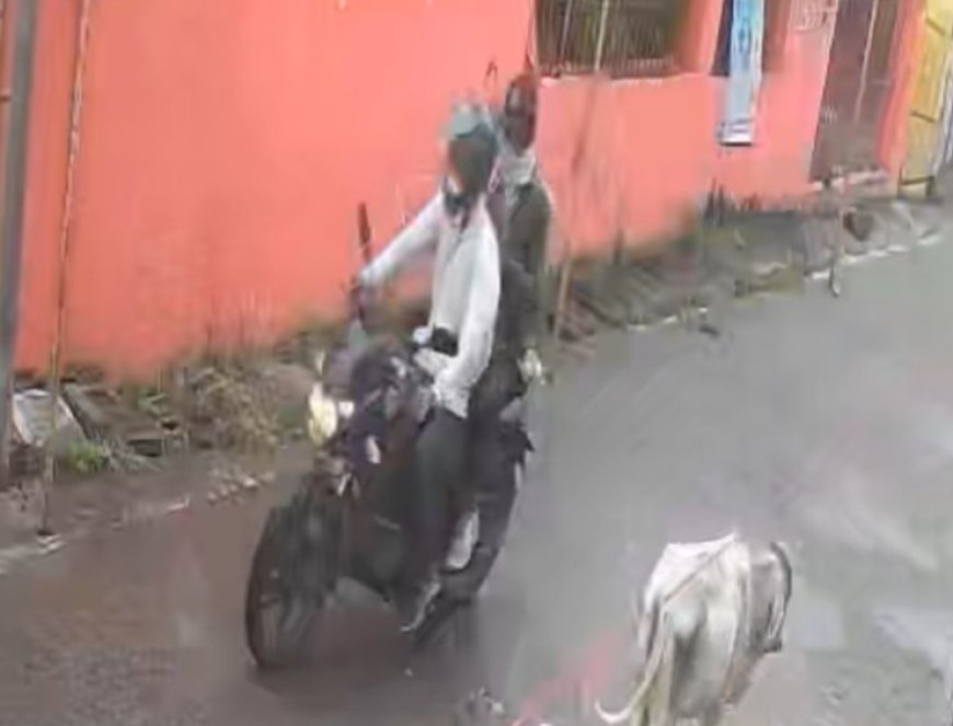 भाजपा के मंडल अध्यक्ष की मां के साथ लूटेरों ने की चेन स्नेचिंग भाजपा के मंडल अध्यक्ष की मां के साथ लूटेरों ने की चेन स्नेचिंग