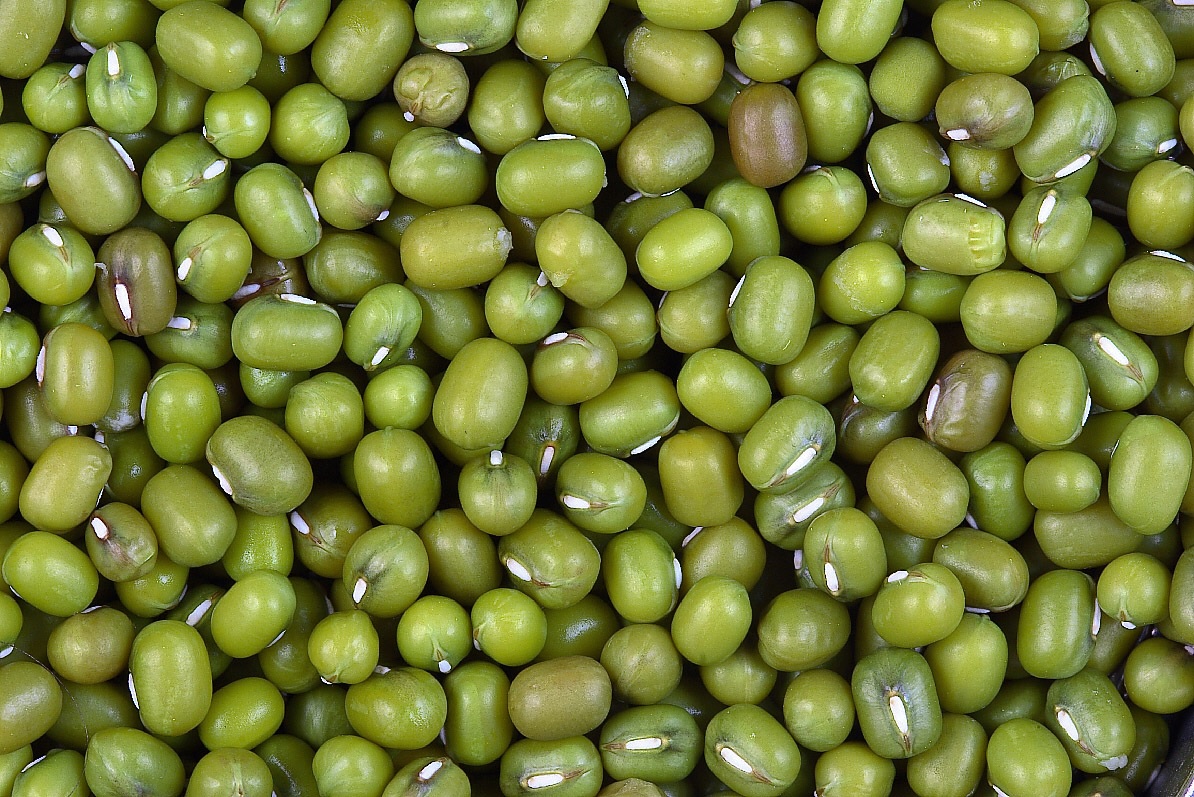 मूंग खरीद के लिए ऑनलाइन पंजीयन शनिवार से होंगे शुरू मूंग खरीद के लिए ऑनलाइन पंजीयन शनिवार से होंगे शुरू