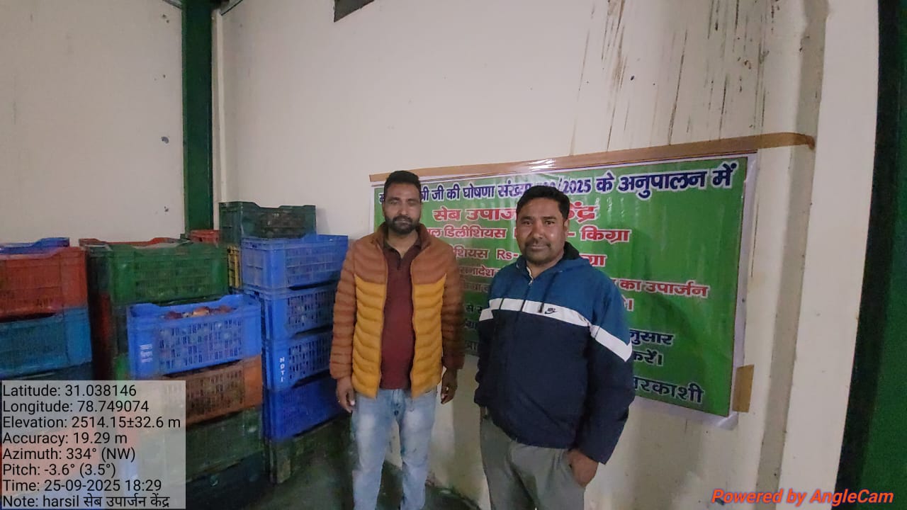 हर्षिल धराली वैली में उद्यान विभाग काश्तकारों के सेब खरीद ने में जुटा हर्षिल धराली वैली में उद्यान विभाग काश्तकारों के सेब खरीद ने में जुटा