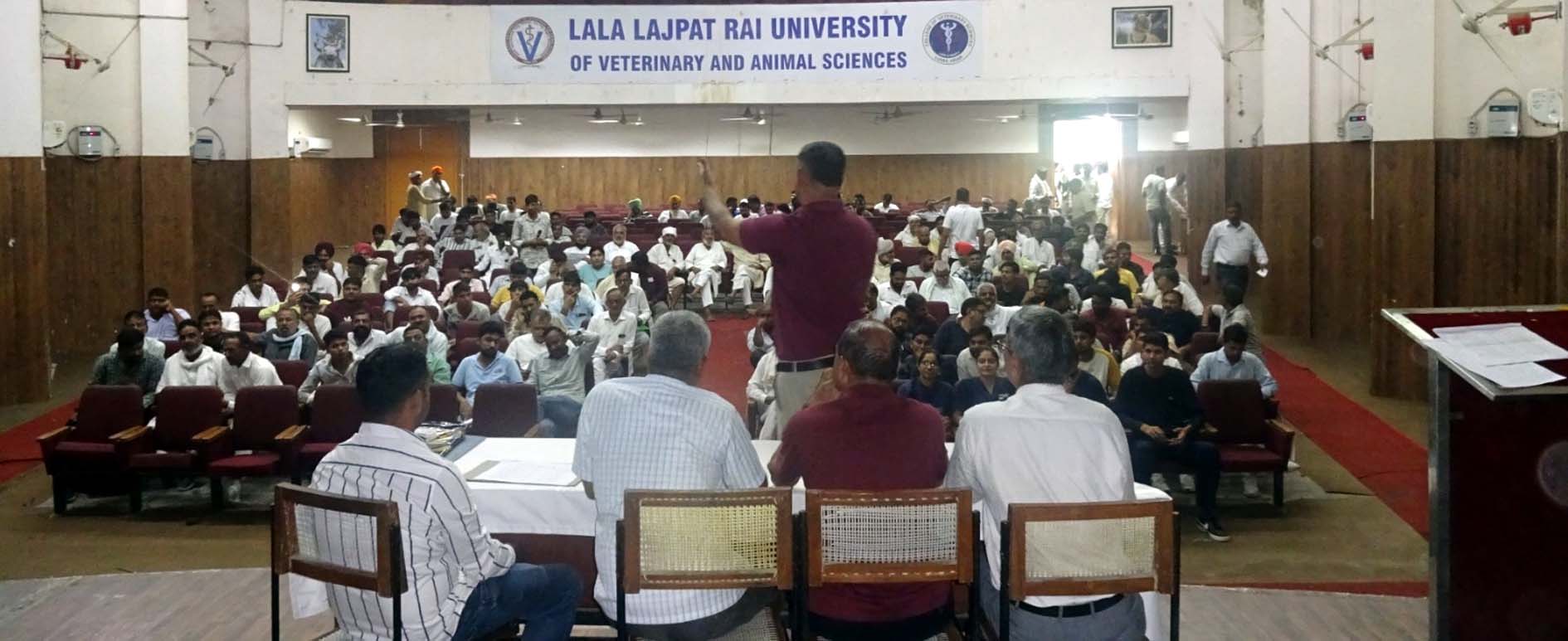 नीलामी प्रक्रिया में उपस्थित अधिकारी व हिस्सा लेते पशुपालक। नीलामी प्रक्रिया में उपस्थित अधिकारी व हिस्सा लेते पशुपालक।