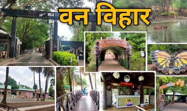 राष्ट्रीय उद्यान वन विहार (फाइल फोटो) राष्ट्रीय उद्यान वन विहार (फाइल फोटो)