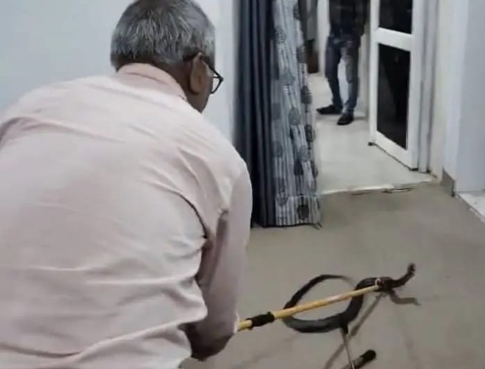 कोबरा पकड़ती टीम कोबरा पकड़ती टीम