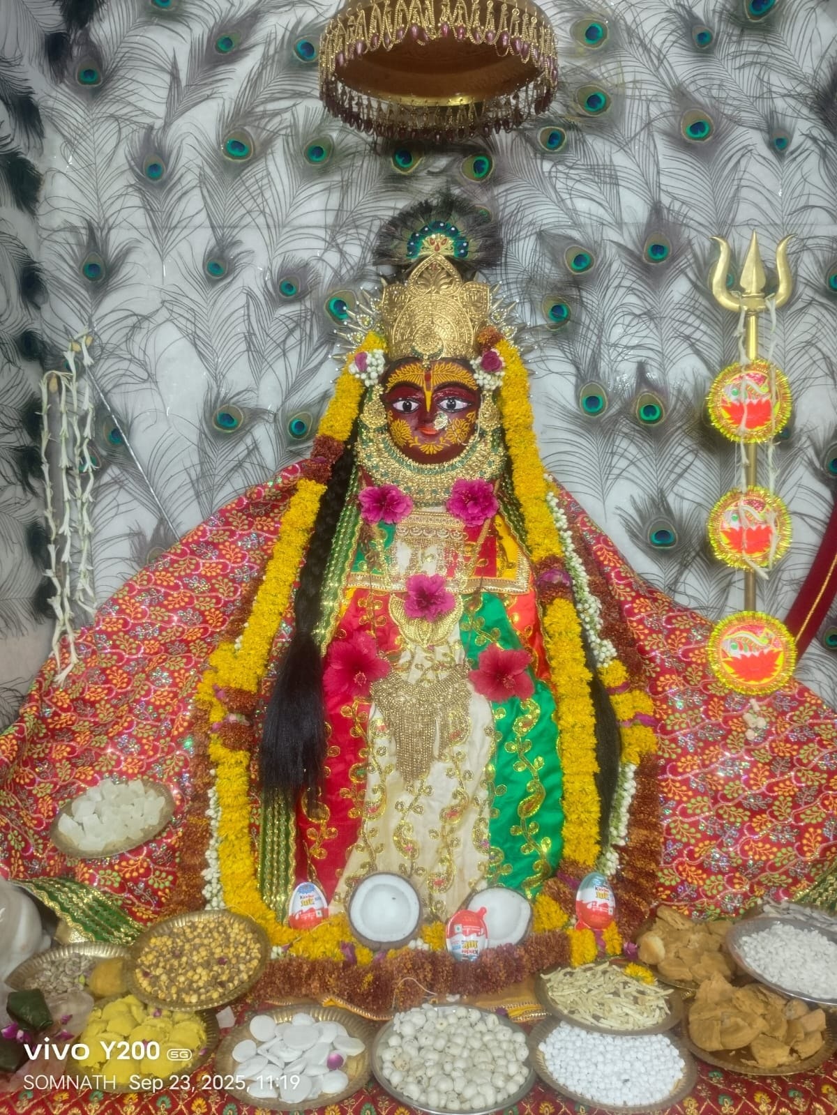 मनसा माता को मंगलवार काे अर्पित होंगे 108 नील कमल मनसा माता को मंगलवार काे अर्पित होंगे 108 नील कमल
