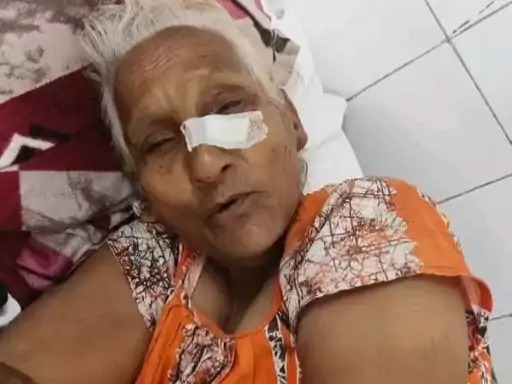 इलातरत महिला इलातरत महिला