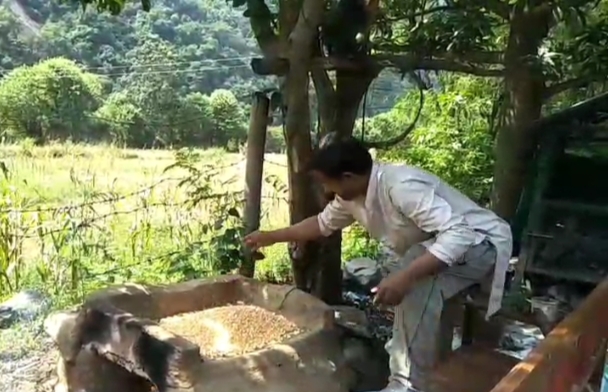 सिरमौर के गिरीपार जनपद क्षेत्र में मक्की से भूना हुआ सत्तू किया जा रहा है तैयार सिरमौर के गिरीपार जनपद क्षेत्र में मक्की से भूना हुआ सत्तू किया जा रहा है तैयार