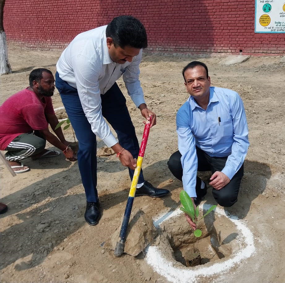 जिला जेल परिसर में पौधारोपण करते न्यायाधीश प्रवेश सिंगला। जिला जेल परिसर में पौधारोपण करते न्यायाधीश प्रवेश सिंगला।