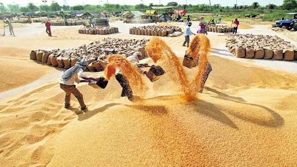 प्रतीकात्‍मक फोटो