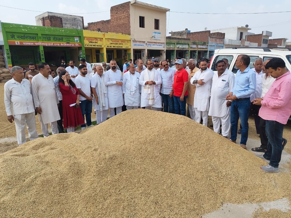 अंबाला के सांसद वरुण चाैधरी मंडियाें का दाैरा करते हुए अंबाला के सांसद वरुण चाैधरी मंडियाें का दाैरा करते हुए