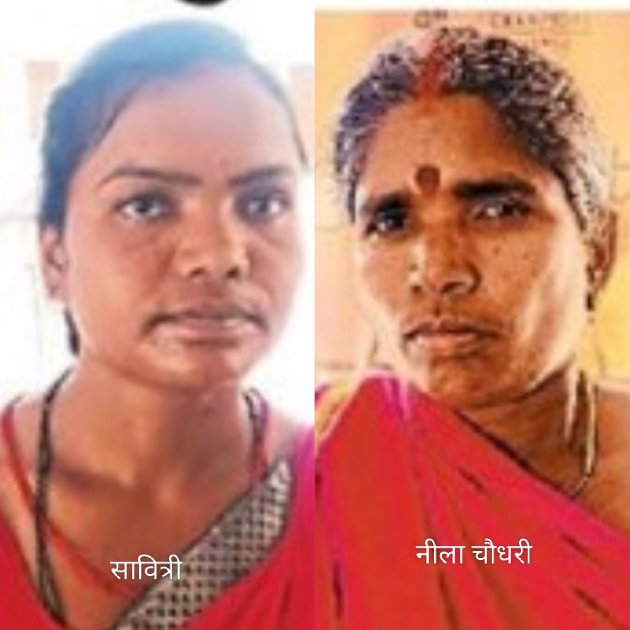 सवित्री और नीला सवित्री और नीला
