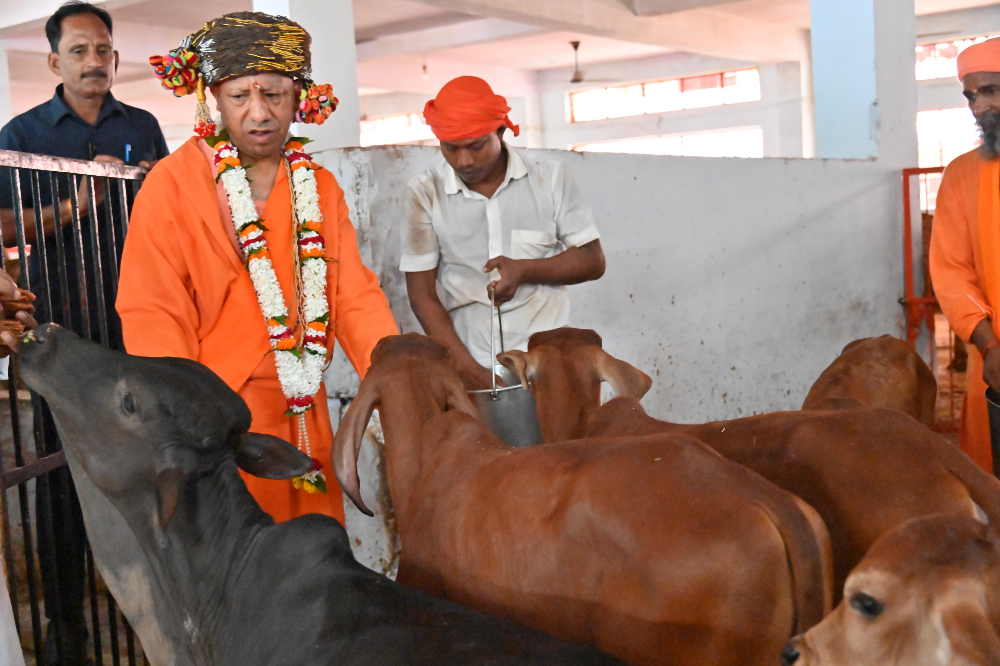 विजयदशमी पर गोपूजन कर सीएम योगी ने की गोसेवा* विजयदशमी पर गोपूजन कर सीएम योगी ने की गोसेवा*