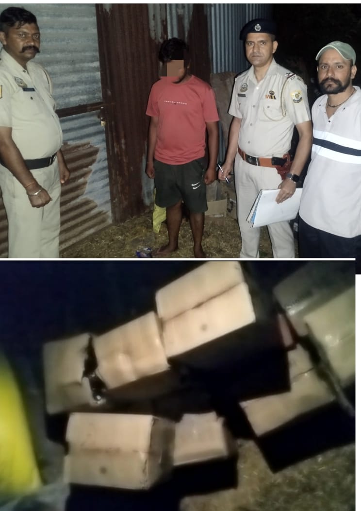 पोंटा साहेब के सूरजपुर से गौशाला से 13 पेटी अवैध शराब बरामद पोंटा साहेब के सूरजपुर से गौशाला से 13 पेटी अवैध शराब बरामद