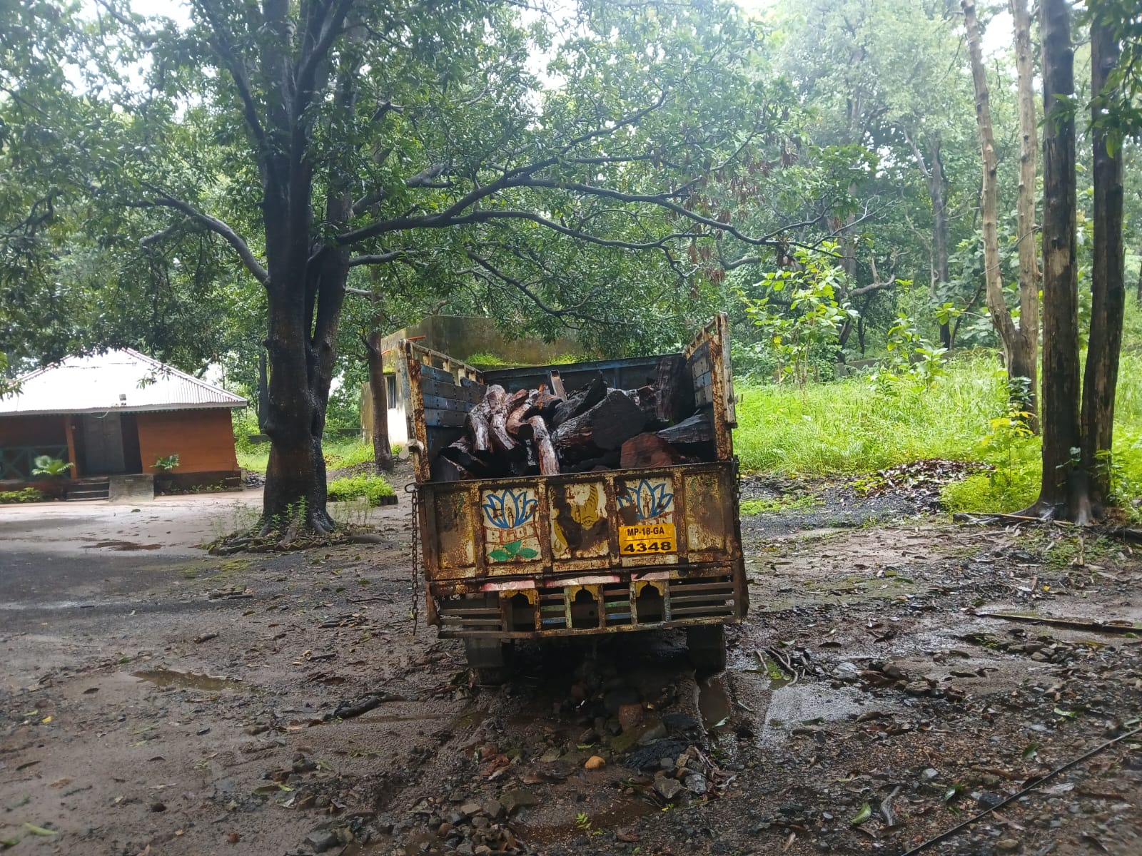 वाहन जिसमे लकडी भरी हैं वाहन जिसमे लकडी भरी हैं