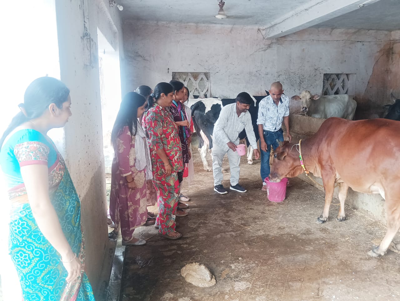 गायों की सेवा करते लोग