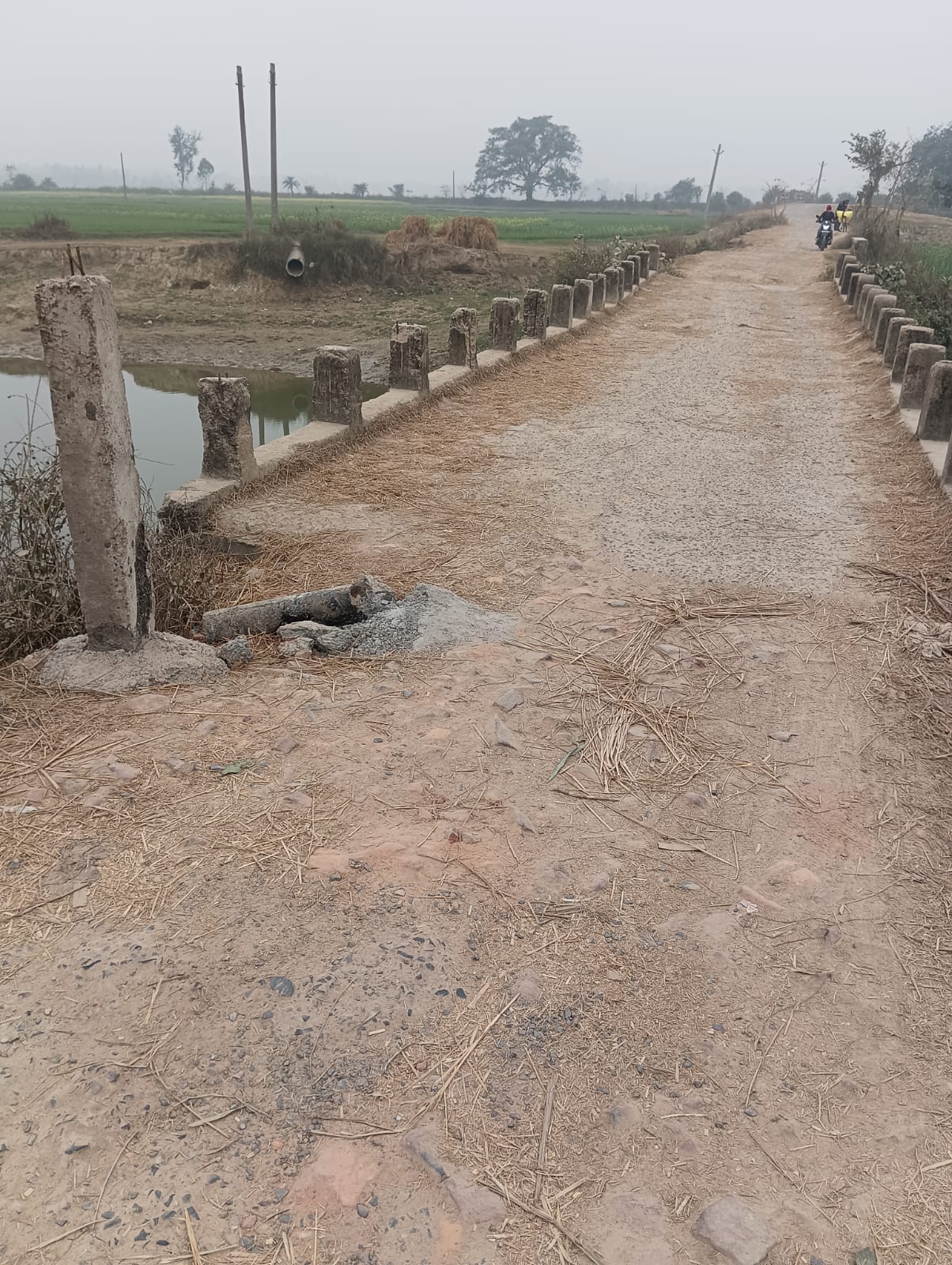 अलीनगर, दरभंगा: जर्जर सड़क।