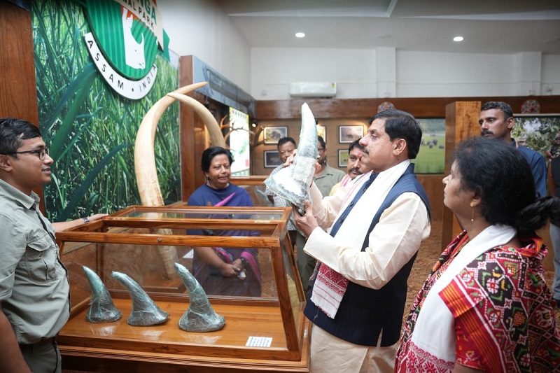 मप्र के मुख्यमंत्री डॉ. मोहन यादव ने किया असम के वन्य जीव कन्वेंशन सेंटर का भ्रमण मप्र के मुख्यमंत्री डॉ. मोहन यादव ने किया असम के वन्य जीव कन्वेंशन सेंटर का भ्रमण