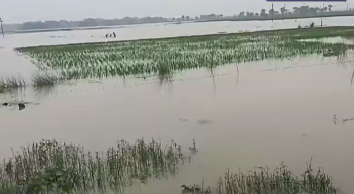 बढ़ की संभावना