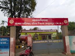 फाईल फाेटाे डूमरकछार नगर परिषद