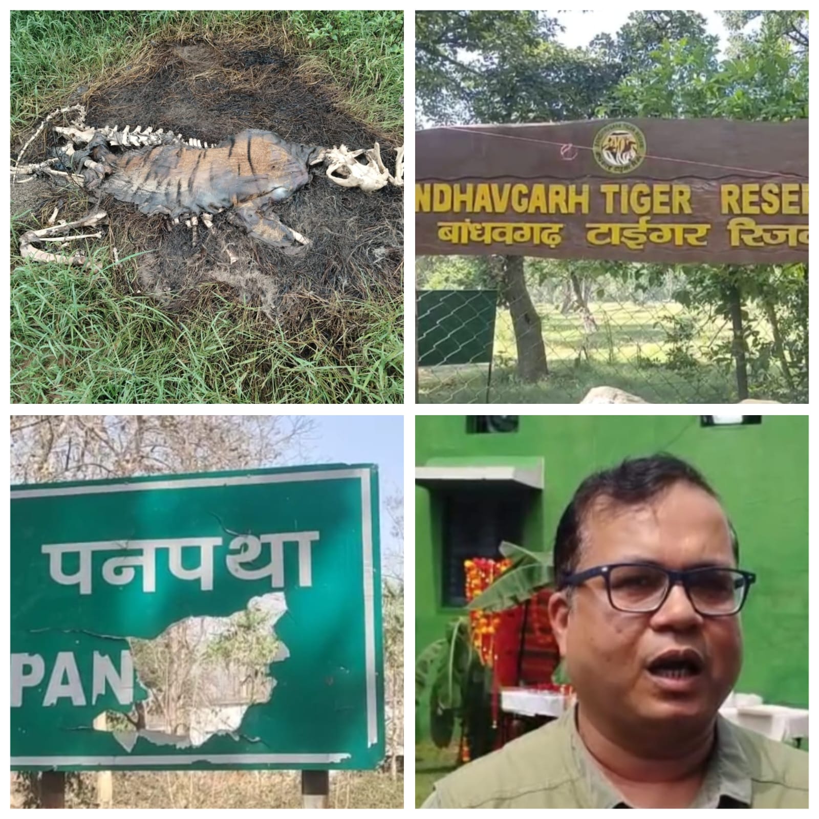 पहली बार बाघ मौत मामले में हुई कार्रवाई दो कर्मचारी निलंबित