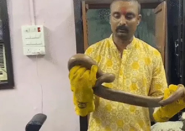 सांप के साथ रेस्क्यू टीम के सदस्य