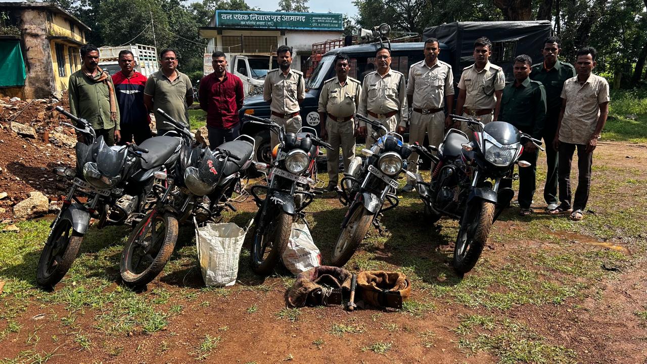 Seoni: Illegal teak seized, accused absconding, search continues Seoni: Illegal teak seized, accused absconding, search continues