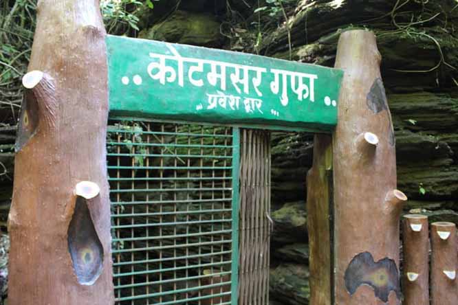 पहली नवम्बर को खुलेगी कोटमसर गुफा पहली नवम्बर को खुलेगी कोटमसर गुफा