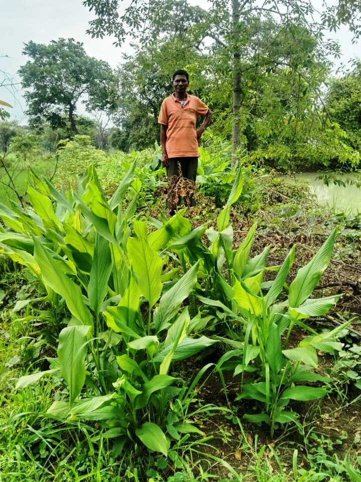 ग्राम जाटा के किसान दुलार सिंह बने आत्मनिर्भरता के प्रतीक