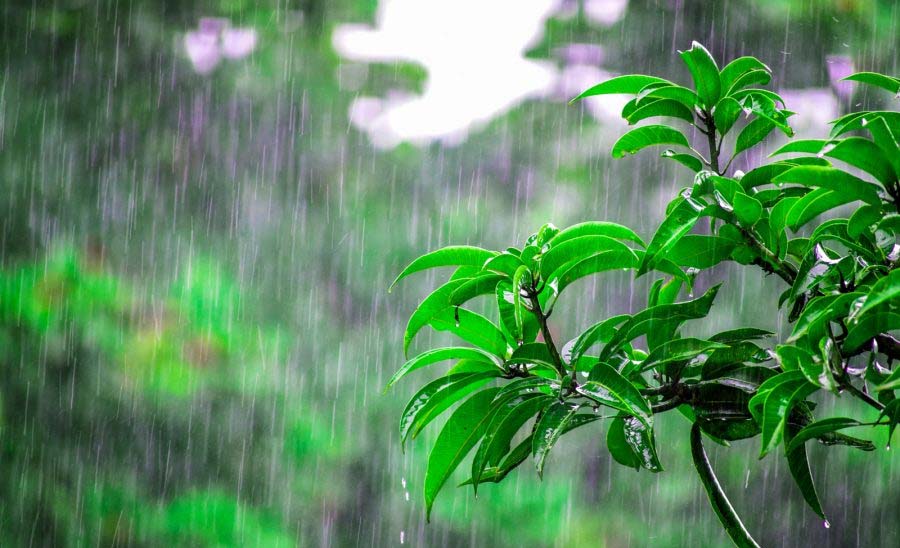बंगाल का मौसम बदलाव