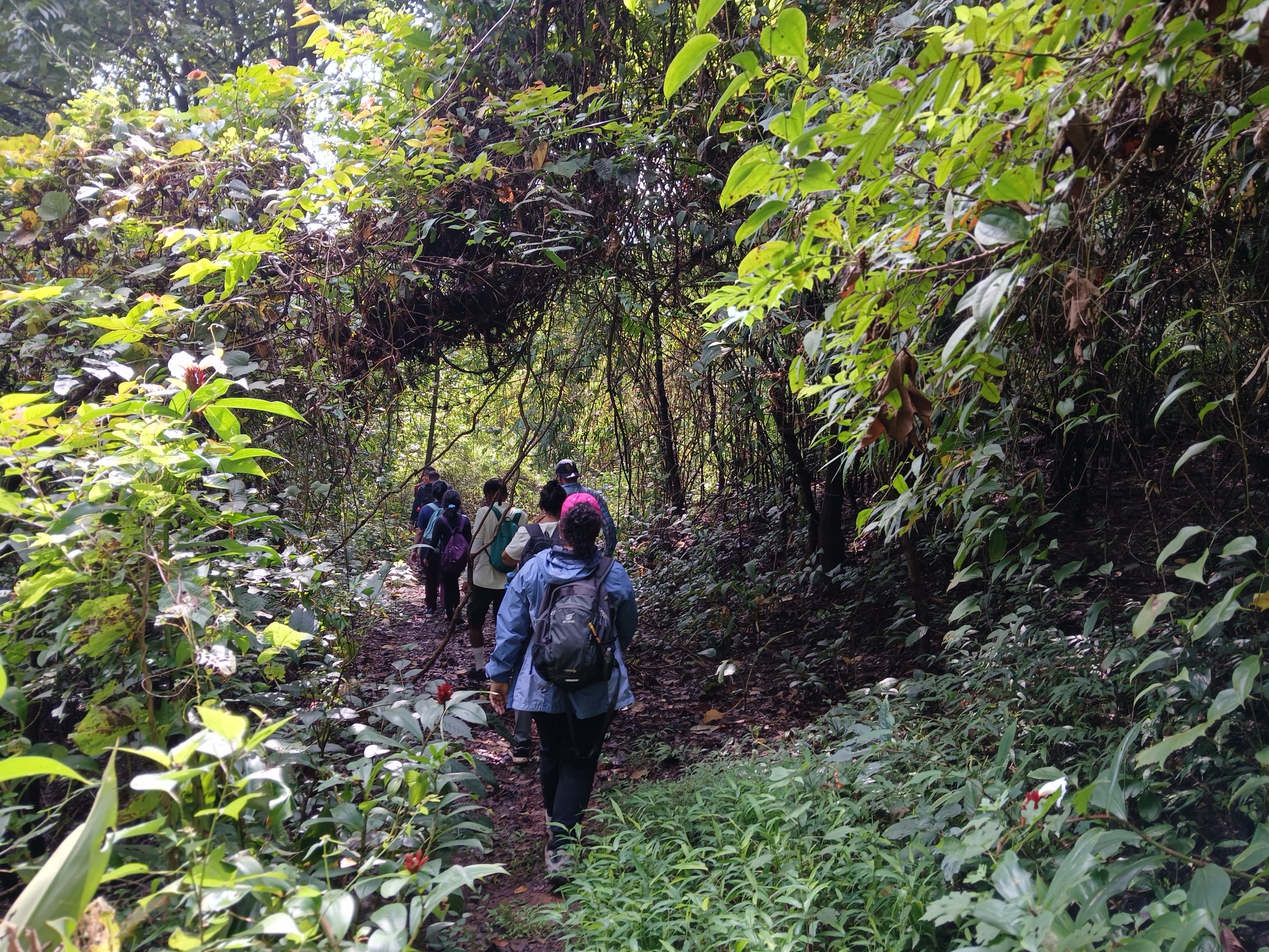 Forest protection week celebrated yeoor area's