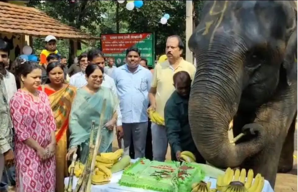 हाथी रजनी के जन्मदिन पर केक काटते