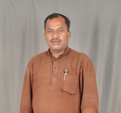 मनोनीत उपाध्यक्ष