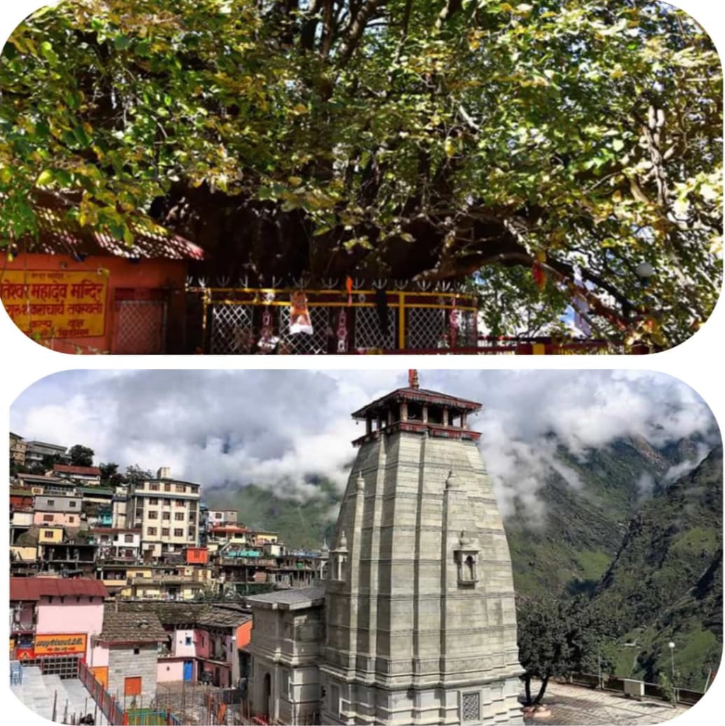 जोशीमठ