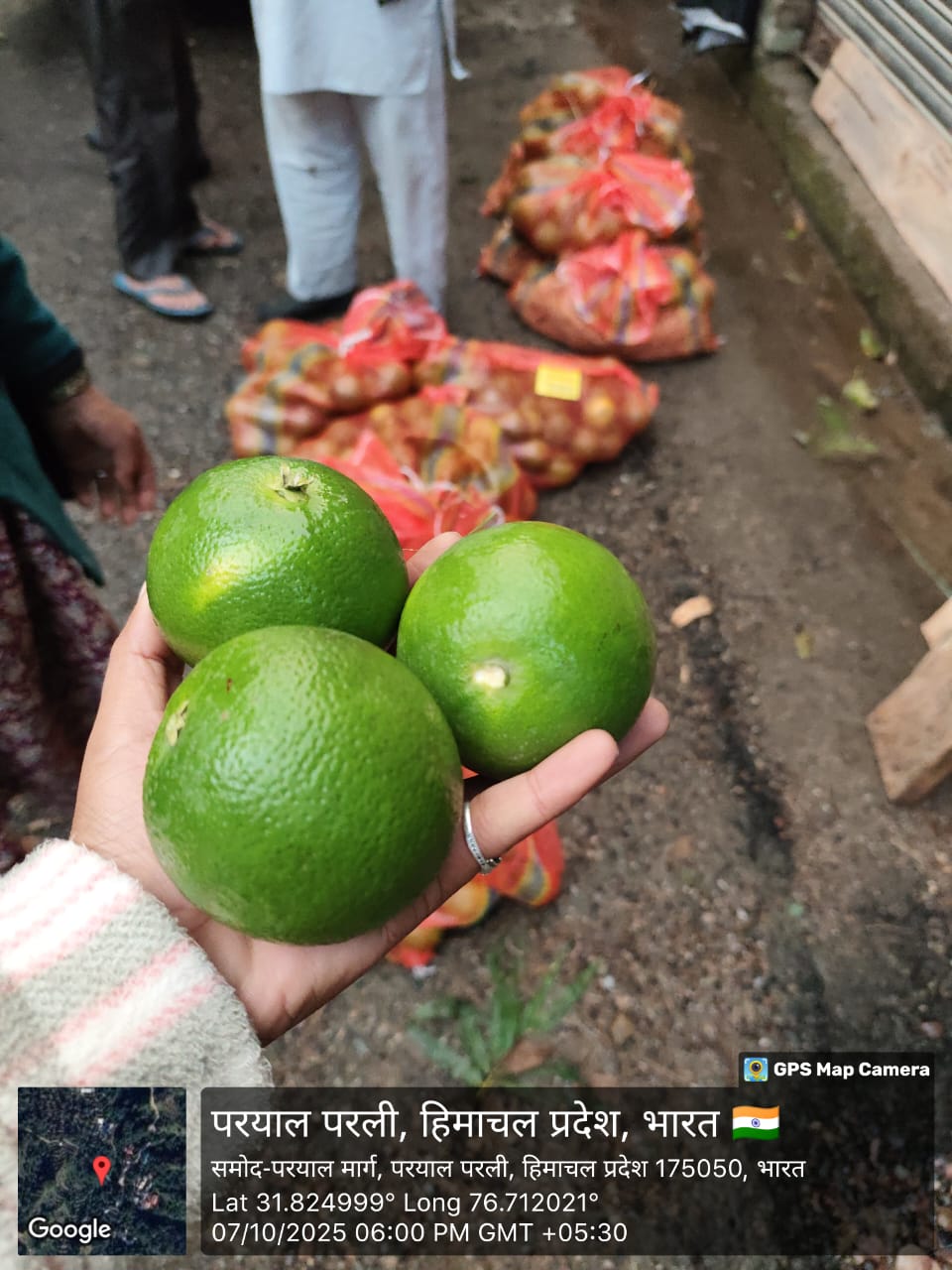 धर्मपुर के किसान मौसम्मी की पहली उपज के साथ।
