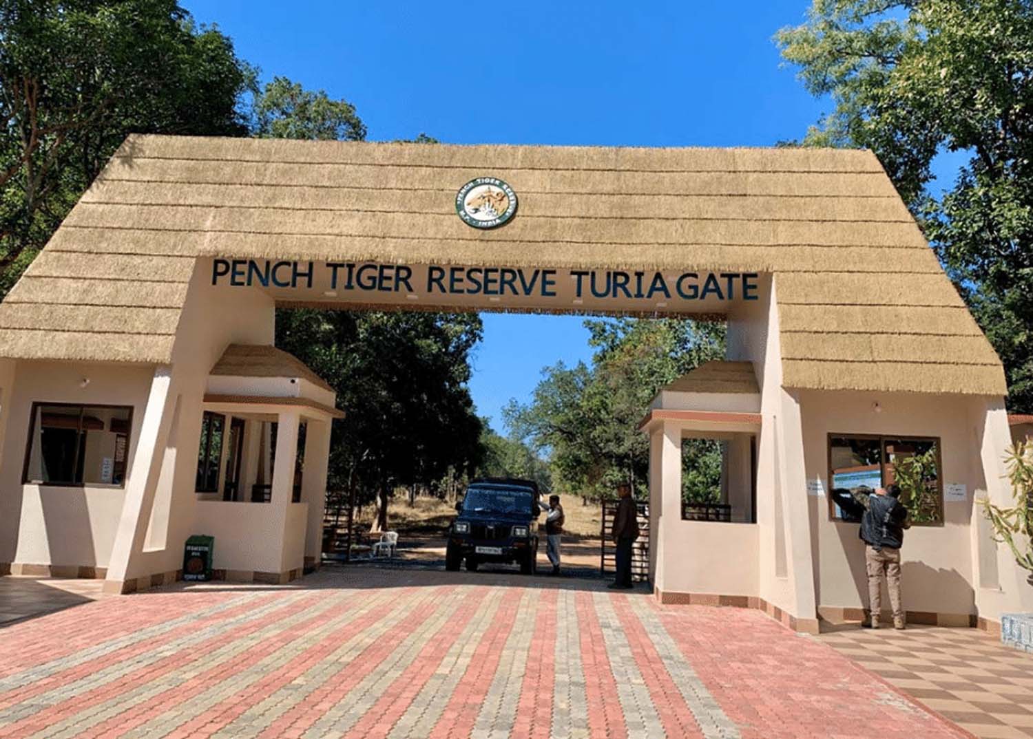 MP: Pench National Park, where the heartbeat of the forest resonates the most.