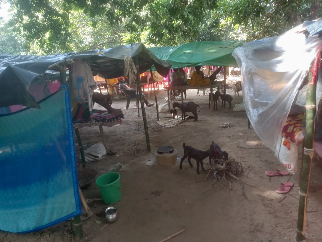 बाढ़ से इस बार फिर बेघर हुए 40 परिवार, स्थायी पुनर्वास की उठी मांग। बाढ़ से इस बार फिर बेघर हुए 40 परिवार, स्थायी पुनर्वास की उठी मांग।