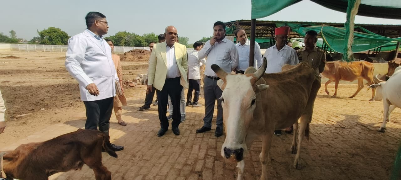 निरीक्षण के दौरान जिलाधिकारी जितेंद प्रताप सिंह व अन्य का छायाचित्र